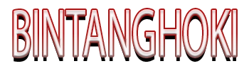 BINTANGHOKI Logo